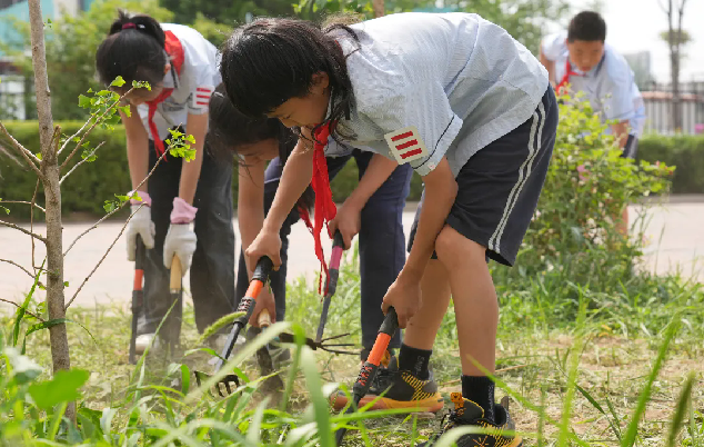 『十光有你 劳动光荣』六力学校小学部劳动节献礼暨第一届劳动技能大赛圆满落幕！